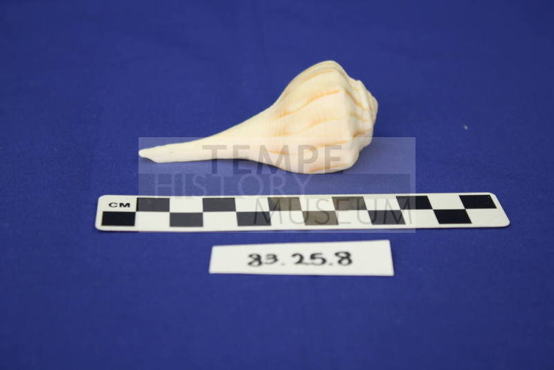 Decorative Shell