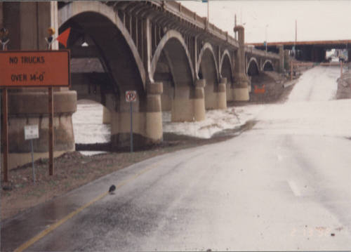 SRP Flow 3000 CFS and Salt River