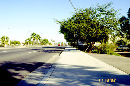 Jim Wheat's Landscape Center Sign, 1409 E. Apache