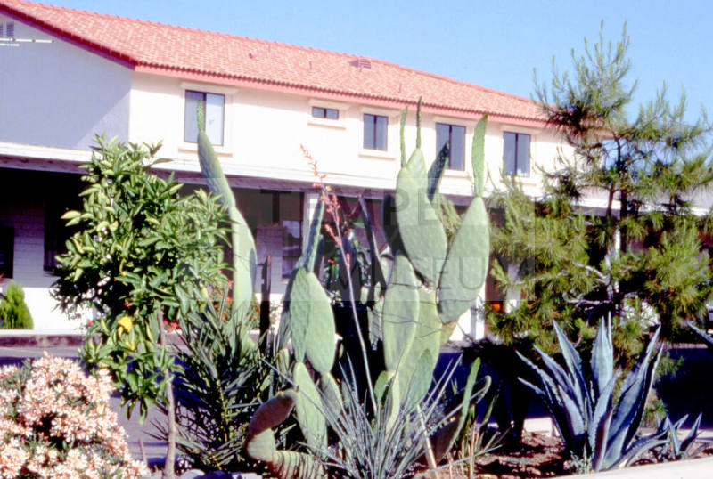 Hideaway Lodge Motel, 1461 E. Apache