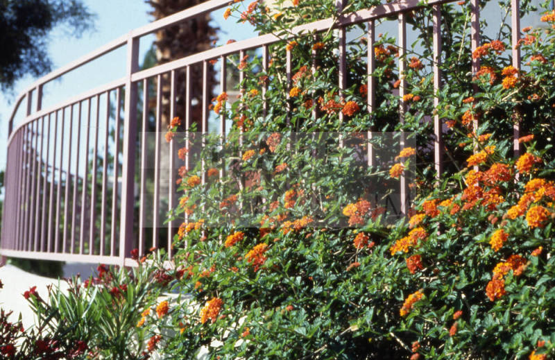 Hideaway Lodge Motel Fence, 1461 E. Apache