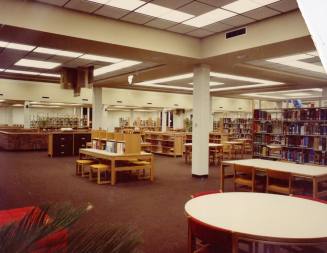 Tempe Library, Shelves Filled