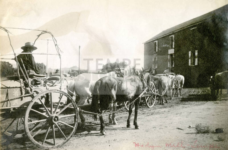 Wagon and Horses as Hayden Mill