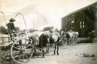 Wagon and Horses as Hayden Mill
