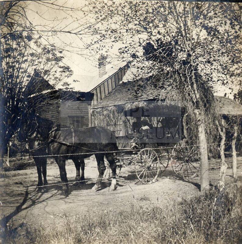 Buggy and Horses in Front of 6th Street Home