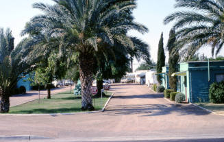 Polar Bear Court, 2075 E. Apache Blvd.