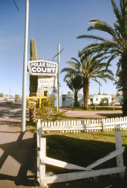 Polar Bear Court, 2075 E. Apache Blvd.