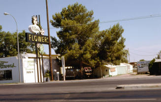 Watson's Flowers, 2525 E. Apache Blvd.