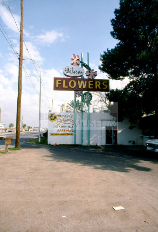 Watson's Flowers, 2525 E. Apache Blvd.