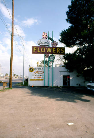 Watson's Flowers, 2525 E. Apache Blvd.