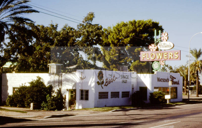 Watson's Flowers, 2525 E. Apache Blvd.