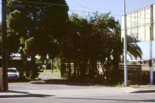 Watson's Flowers, 2525 E. Apache Blvd.