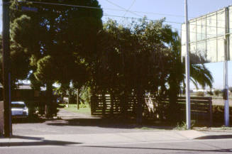 Watson's Flowers, 2525 E. Apache Blvd.