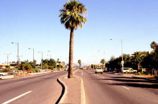 2300 block of E. Apache Blvd.