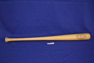 America West Airlines baseball bat