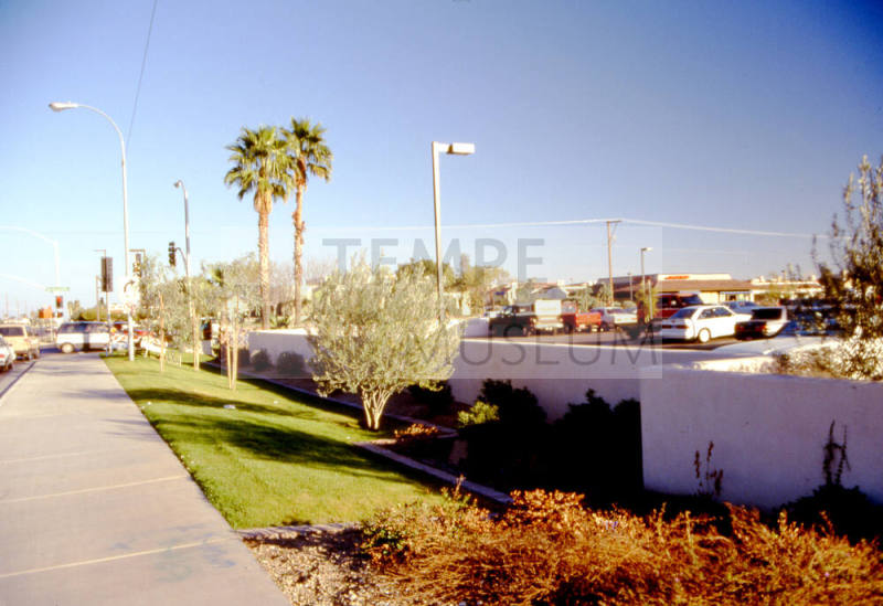 Two Pesos, 1735 E. Southern Ave.