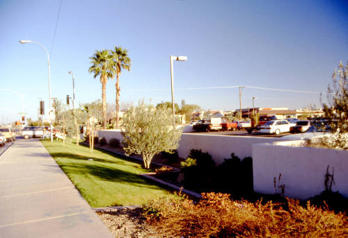 Two Pesos, 1735 E. Southern Ave.