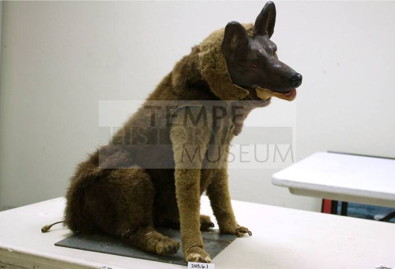 Legend City Hydraulic Dog