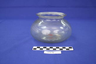 Fish Bowl