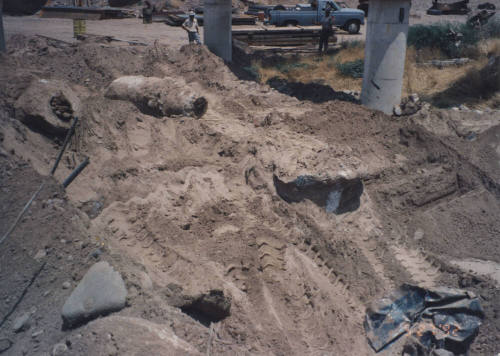 APS Concrete Encased Power Poles in Southeast Footing