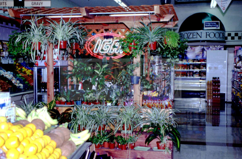 Stabler's Market floral department, University Dr. and Mill Ave.