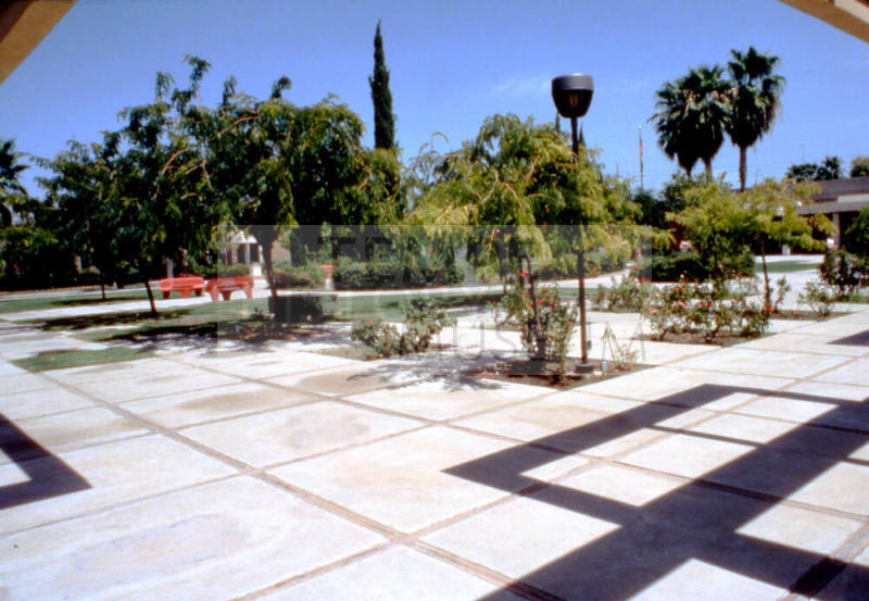 Rose garden near Tempe Library, 3500 S Rural Rd.