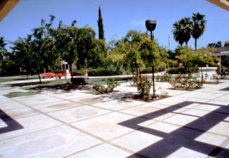 Rose garden near Tempe Library, 3500 S Rural Rd.