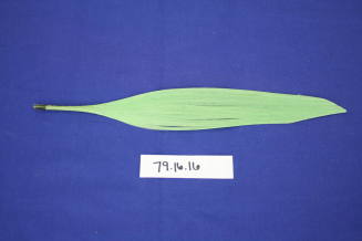 Green spun glass leaf