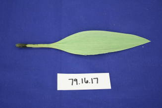 Green spun glass leaf