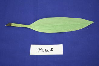 Green spun glass leaf