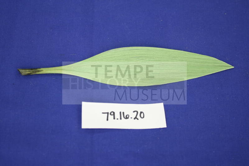 Green spun glass leaf