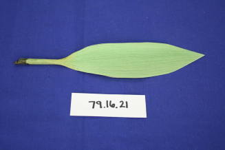 Green spun glass leaf