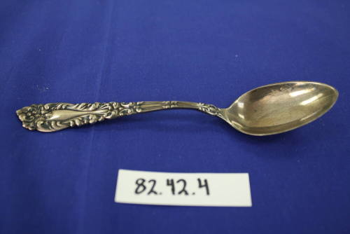 Spoon