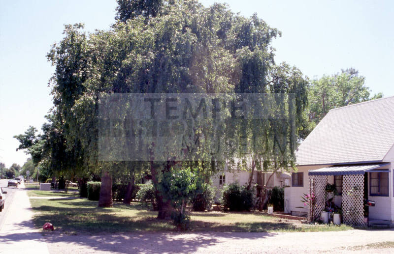 Residence, 1110 S. Farmer Ave.