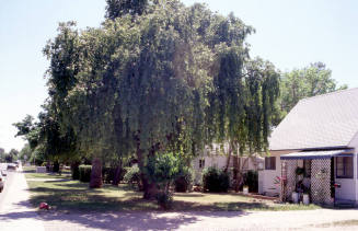 Residence, 1110 S. Farmer Ave.