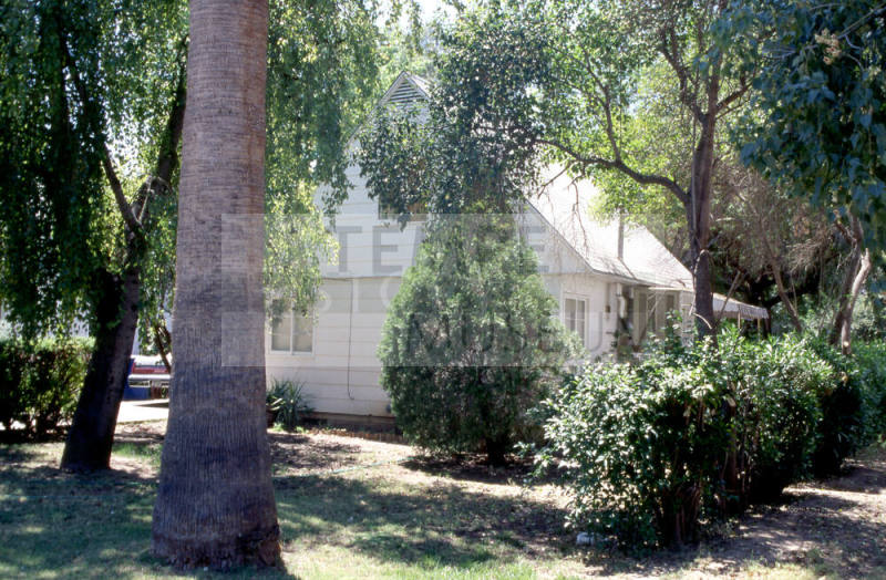 Side and back yard of residence, 1110 S. Farmer Ave.