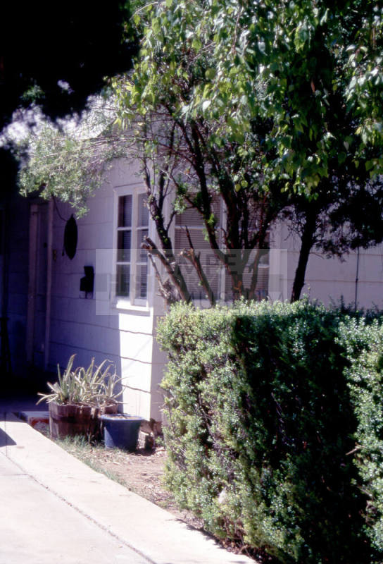 Windows of residence, 1110 S. Farmer Ave.