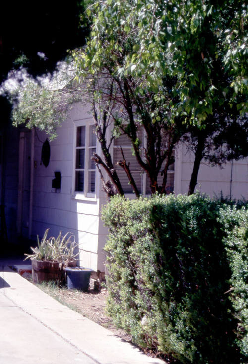 Windows of residence, 1110 S. Farmer Ave.