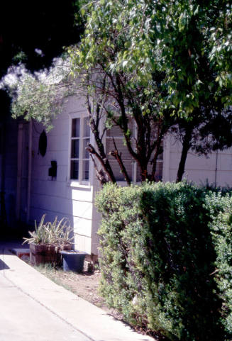 Windows of residence, 1110 S. Farmer Ave.