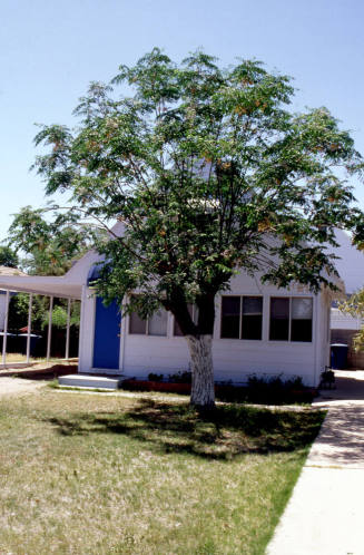 Residence north of 1110 S. Farmer Ave.