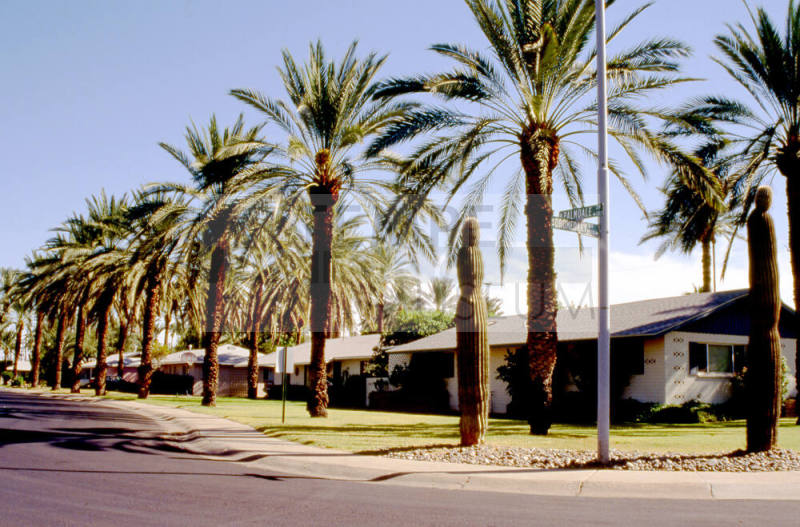 Residences at S. Dromedary Dr. and W. Palmdale Dr.