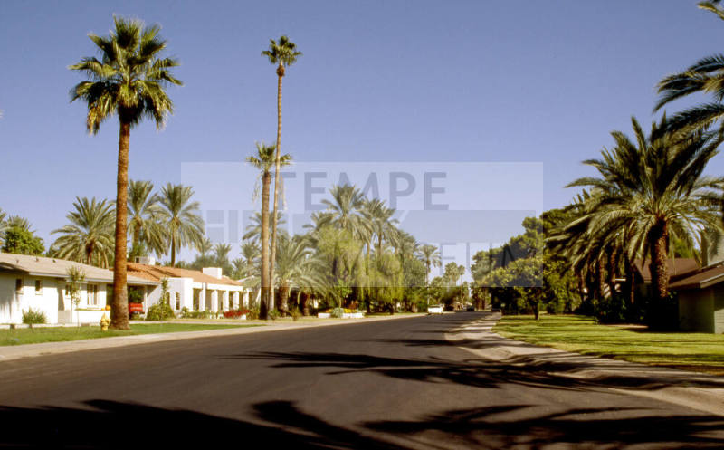 Residences in the Date Palm Manor neighborhood
