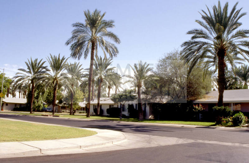 Residences in the Date Palm Manor neighborhood