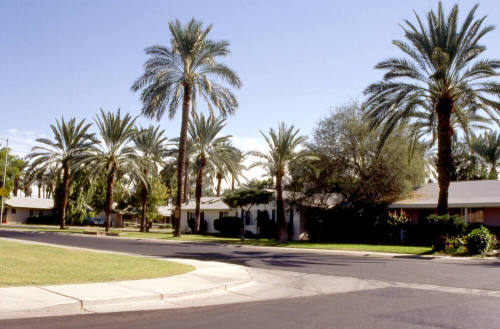 Residences in the Date Palm Manor neighborhood