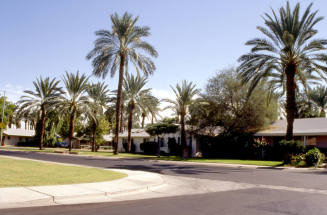Residences in the Date Palm Manor neighborhood