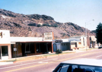 Bobbie's Flowers, 5th St.