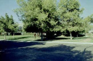 Arbour Park Apartments, 1901 E. Apache Blvd.