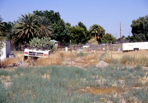 Watson's Flowers site, 2425 E. Apache Blvd.