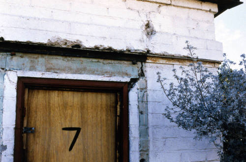 Polar Bear Court, 2075 E. Apache Blvd.