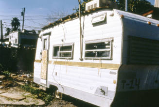 Polar Bear Court, 2075 E. Apache Blvd.